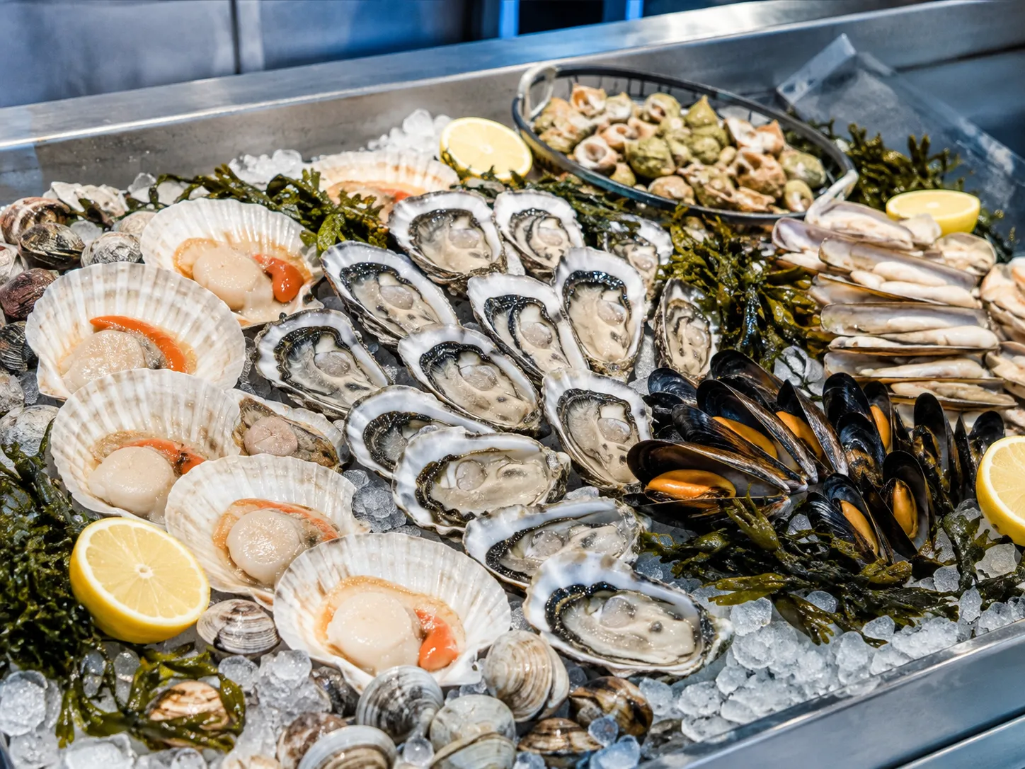 Oysters_and_shellfish_placeholder